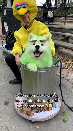 Halloween Costume Fun with Oscar the Grouch and Big Bird from Sesame Street