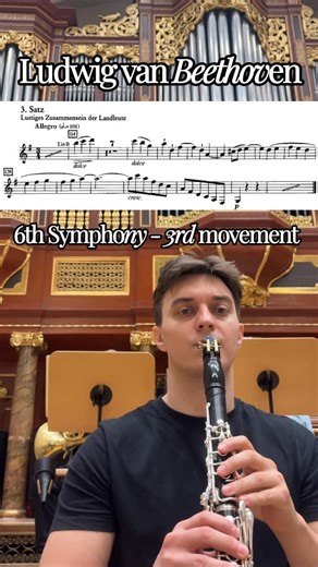 Kamil Janas on Instagram: "Ludwig van Beethoven - 6th Symphony 3rd movement #clarinet #beethoven #symphony #bassoon #oboe"