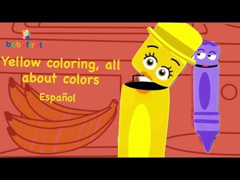 Color crew, Spanish, AdamMitchell Bushra baby fart