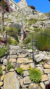 2.6K views · 1.6K reactions | As we count down the days to the garden...