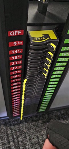 Bringing the level higher... #workout #diadepierna #legday #legdayworkout #rolo #newzealand🇳🇿 #gym #gymmotivation #focusonyourself #nextlevel#gymmood #modeling #capitalsurf