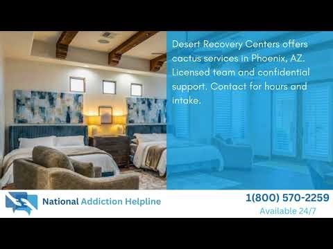 Top 3 Addiction Treatment Centers Cactus