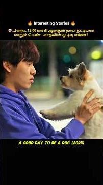 Midnight Magic Girl Turns Puppy | Mystery | Fantasy | Love #shorts #kdrama #asiandrama #tamilmovie