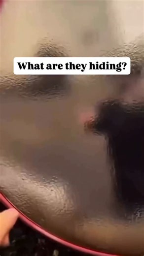 Not getting Interview Calls? You are probably missing these 3 Job Search basics 🚀 Follow @tech_with_nandini for practical job & career hacks 💬 Comment FINAL and I’ll share helpful resources Disclaimer: This content is for educational purposes only. Results depend on individual skills, experience, and effort. | Tech with Nandini