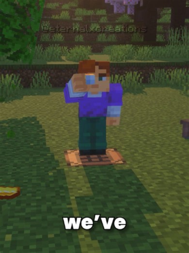 Should we make java mods? #minecraft #bedrock #java #addon #addons #mods #mcpe #fyp