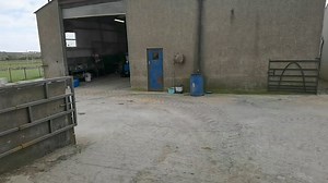 309K views · 1.9K reactions | The Ford tw 25 coming out for a little test run. #fordtractor | Cyril Hanna Tractor and car repairs & Restoration. | Facebook