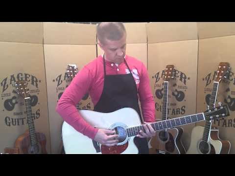 How to Fix Buzzing Strings on Your Guitar | Zager EZ-Play Guitars