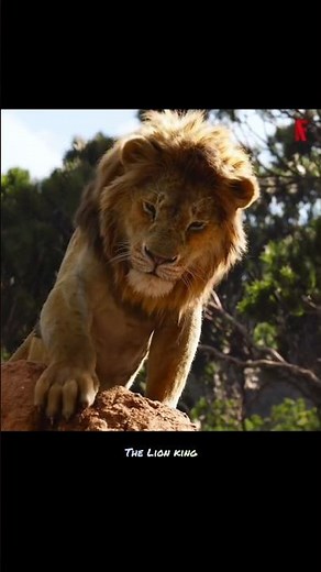 🎬 Mufasa: The Lion King