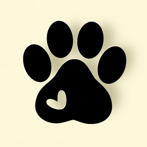 Paw Print Decal: Dog Lover Gift, Car/water Bottle Sticker - Etsy Canada