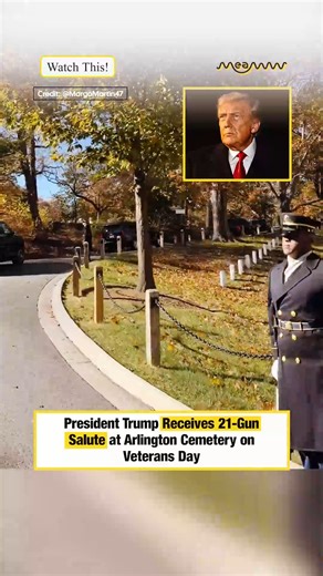 President Trump Receives 21-Gun Salute at Arlington Cemetery on Veterans Day #VeteransDay #Trump #21GunSalute #ArlingtonCemetery #HonorOurHeroes #AmericaFirst #ProudAmerican #SupportOurTroops | MEAWW