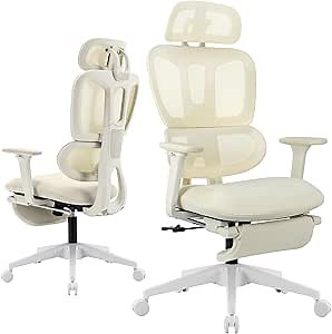 Ergonomic Office Chair with Footrest, High Back Computer Office Chair with Dynamic Lumbar Support, 2D Headrest, 2D Armrest, Sponge Seat, Mesh Home Office Desk Chair for Adults, Cream
