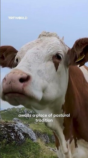 Inside Slovenia's Living Heritage