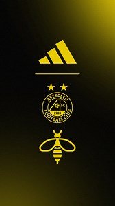 73K views · 1K reactions | "No buzz, no noise. This game was for boys." Introducing The Wasp Kit. 24/25 Women's & Men's Away Kit on sale now // bit.ly/3xSmZXQ #StandFree  | Aberdeen Football Club | Facebook