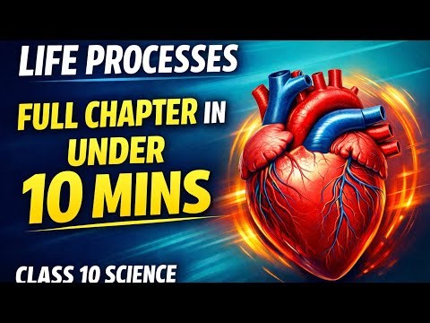 Life Processes Class 10: One shot in under 10 Mins ⏱️ Stop Memorizing Life Processes! Do THIS