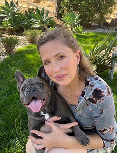 Blue French Puppies for Sale in Los Angeles – Get Your Frenchie Today