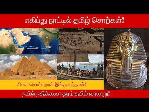 Tamil Script In Egypt | Sigai Kotraan | SuperTalks | Tamil News | Tamil History |Tamil Brahmi | News