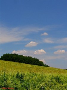 Baranya County - Alchetron, The Free Social Encyclopedia