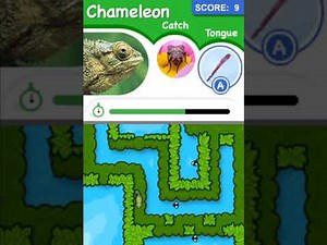 Animal Genius - DS playthrough - Part 2 (no commentary)