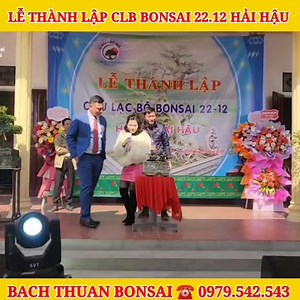 10K views · 131 reactions | Lần đầu tại Hải hậu đấu giá rất kịch tính hàng chục tác phẩm Bonsai xuất sắc tại buổi lễ thành lập CLB Bonsai 22.12 | Bach Thuan Bonsai | Facebook