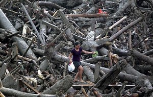 Typhoon Bopha - Alchetron, The Free Social Encyclopedia