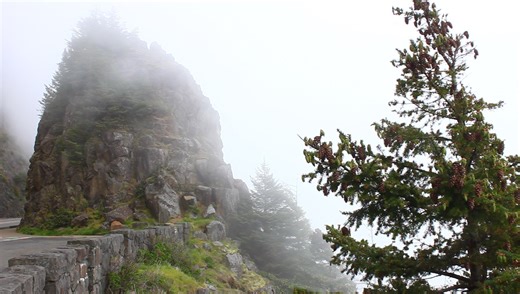 16K views · 631 reactions | N. #OregonCoast: Into the mists and mysteries of Manzanita, at Neahkahnie Overlooks. Watching the mist zoom up the mountain is an ethereal maybe even slightly spooky experience. More on this at the virtual tour (with every single beach spot and attraction) https://www.beachconnection.net/vtour_nbay.htm #OregonCoastBeachConnection | Oregon Coast Beach Connection | Facebook