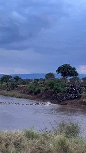 The 2026 Wildebeest Migration River Crossings are coming. This is not a safari; it’s a front-row seat to the epic struggle for survival, where every second pulses with life, death, and breathtaking intensity. What to expect: ✅ Thundering Herds: A relentless, earth-shaking flow of over a million wildebeests charging into treacherous waters. ✅ Agile Zebras: Witness their strategic brilliance as they navigate the chaos. ✅ Apex Predators in Action: Crocodiles lying in wait, big cats stalking the ban