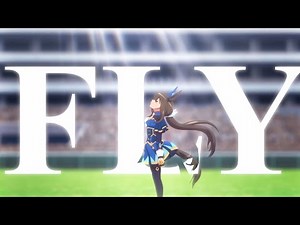 Fly in The Sky
