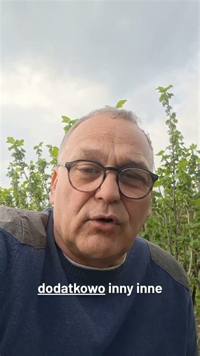 3 zabiegi na kwitnienie porzeczki. Sprawdź jakie!