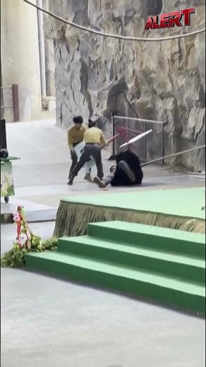 Bear Attacks Handler During Live Show at China Safari Park | Caught on Camera