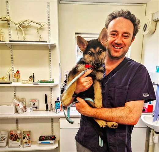 Danny Chambers’ Animal Welfare Bill becomes law