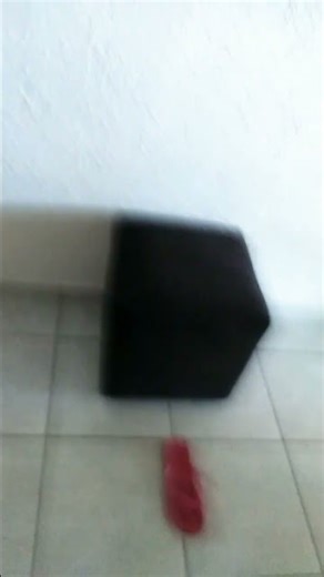 6 de janeiro de 2026