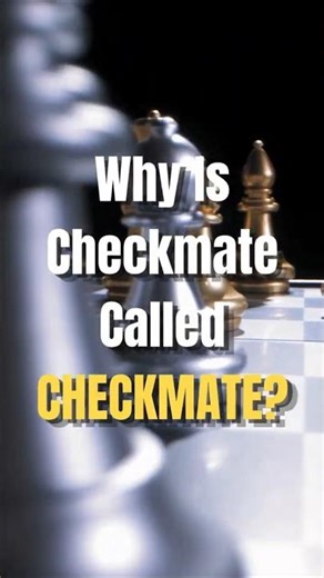 "Checkmate is a 1,500 year oldPersian death sentence"