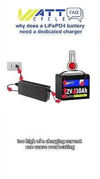 "Why LiFePO4 Batteries Need a Dedicated Charger | Important Charging Insights"