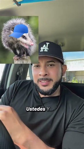 Matan tlacuache por feos #humor