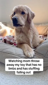 I wasn’t done with that one!! | Benny & Remy