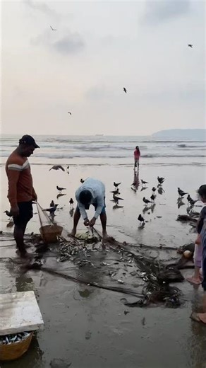 This is how they catch 🐟 in caranzalem #goabeach