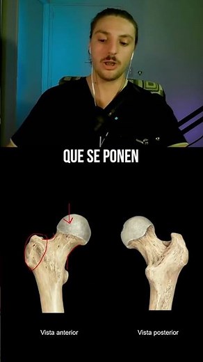Tuberculos y trocanteres | Cursos para Medicina #anatomia #anatomy #medicina #medstudent