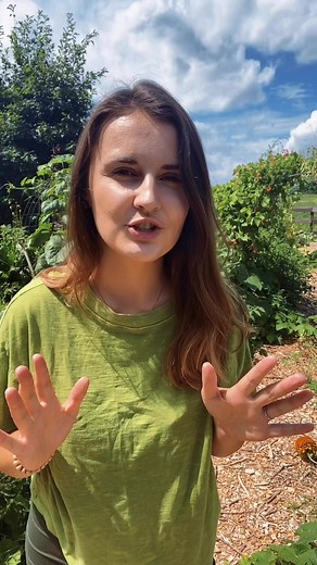 2.5M views · 52K reactions | Switching to No-Till methods of gardening was the best choice I ever made! Send me a message with ‘bundle’ to receive info on my ‘No-Till Quick Start Guide,’ which is now available as part of an incredible group of resources just till the end of March. Happy Gardening  | Sunshine Farm | Facebook