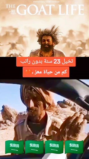 Sheep Herding in Desert Landscape: Stunning Images