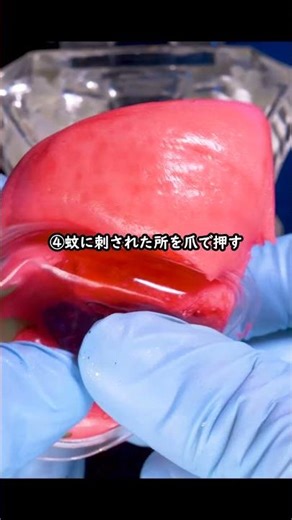 【限界突破】あなたが絶対にゆずれないのはどれ❓️ #asmr