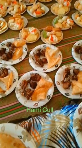 Hami Gull - A Detailed Look