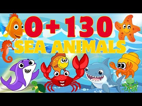 130 Amazing Sea Animals 🐠 | Alphabet "O" Learning for Kids!