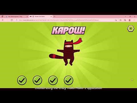 Karate Cats Math's (Part 1)