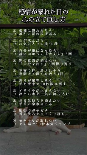 ㊗️5.2万再生‼️感情が暴れた日の心の立て直し方