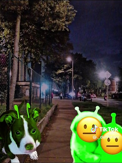 Transformación a Marciano: Un Viaje Canino