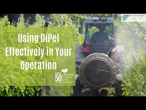 Using DiPel Effectively in Your Operation