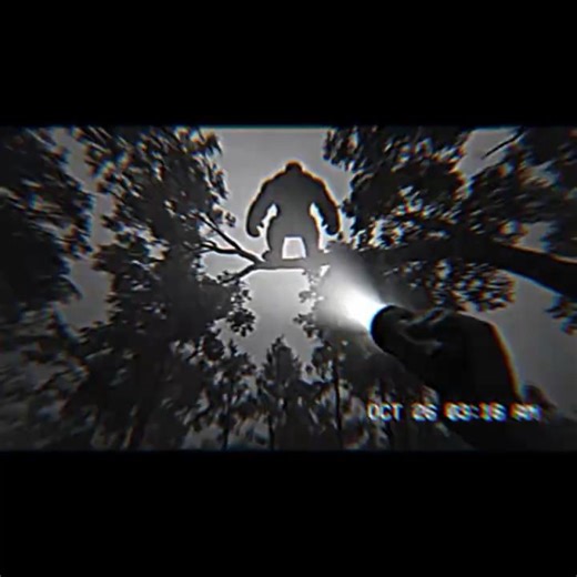 Whatever you do... DON'T LOOK UP! 🏃‍♂️👣👣 #horror #scare #scaryshort #foresthorror #nightmare #creepy