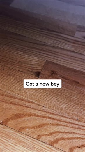 MASTER DEVOLOS unboxing