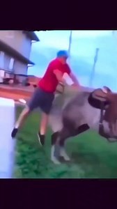 ¡VIVE UN FIN DE SEMANA DE AVENTURA EN EL GOTCHA!💥💥💥 🟢 DESDE $240 P/P 🟢 3 SUCURSALES EN CDMX (AJUSCO Y STA FE) 🟢 ESCENARIOS INCREÍBLES ¡PIDE MAS INFORMACIÓN Y TE DAREMOS UN PRECIO ESPECIAL PARA TI Y TODOS TUS AMIGOS! 📲 MÁNDANOS WHATS 55 7457 2113 📲 MÁNDANOS WHATS 55 7457 2113 | Gotchamania