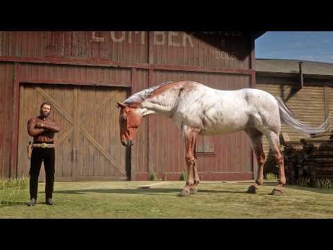 Arthur Morgan Discovers a Huge Beautiful Wild Mare near Blackwater | RDR2